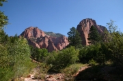 05 - Zion NP (16)
